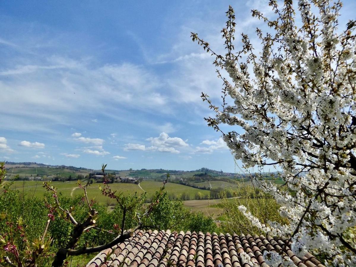 Agriturismo Bottega Di Rosanna Castagnole delle Lanze Exteriér fotografie